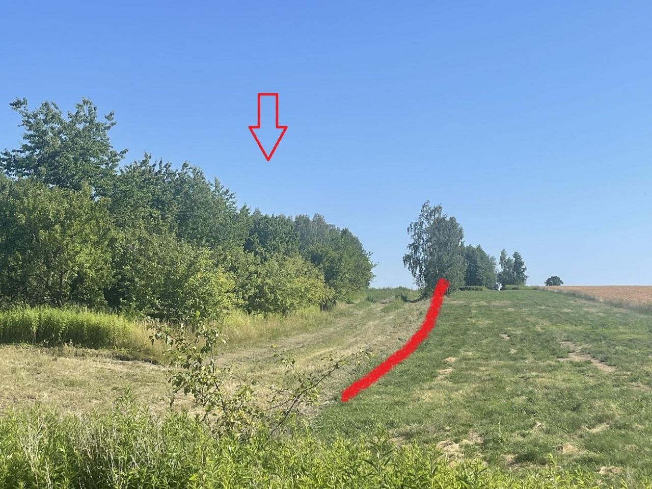 Działka rolno-budowlana Niwa