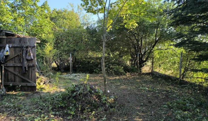 Działka rolno-budowlana Kalinówka Kościelna