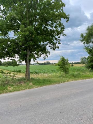 Działka budowlana Regimin, ul. Adama Rzewuskiego. Zdjęcie 4