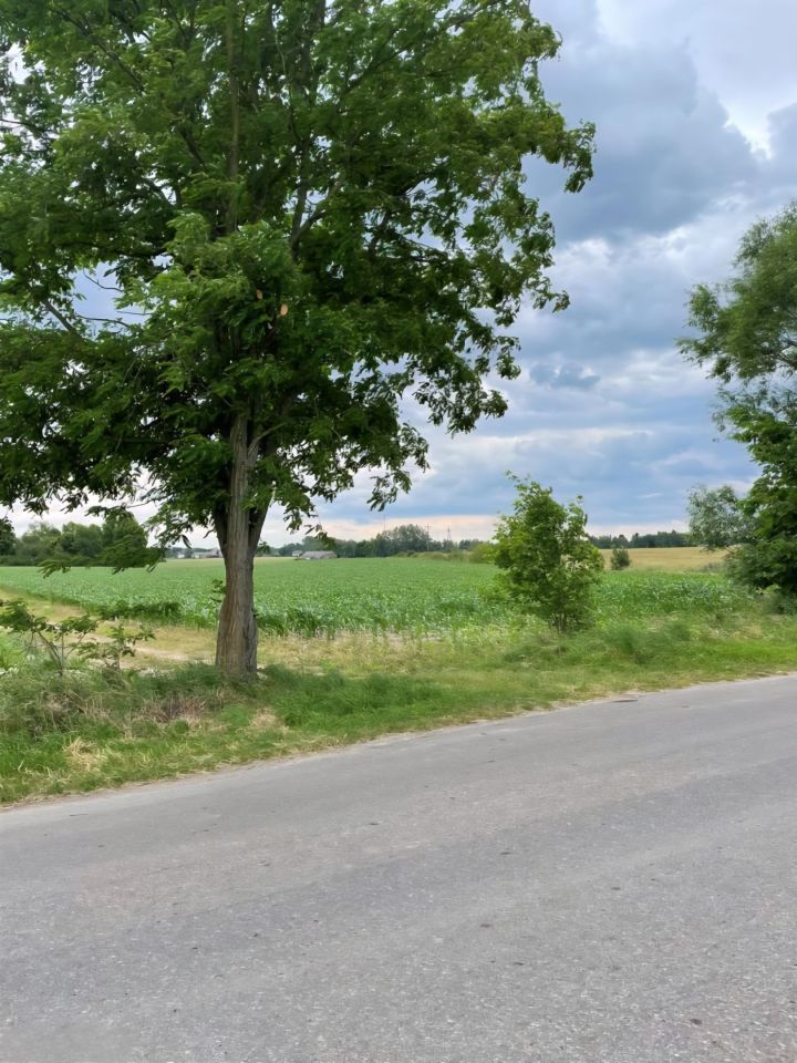 Działka budowlana Regimin, ul. Adama Rzewuskiego. Zdjęcie 5