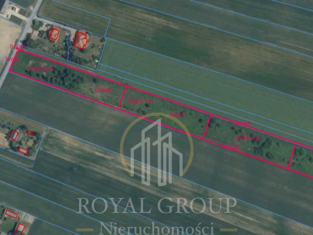 Działka siedliskowa Tomaszowice-Kolonia. Zdjęcie 3