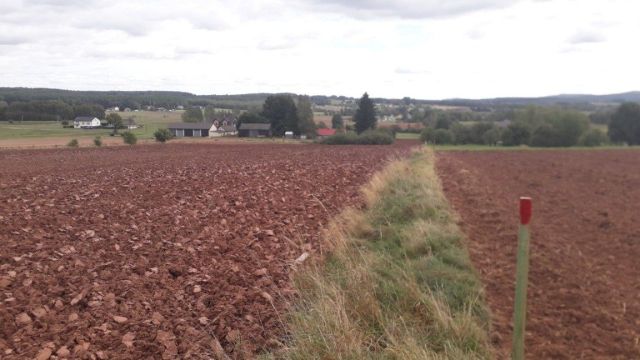 Działka budowlana Kłucko-Kolonia. Zdjęcie 1