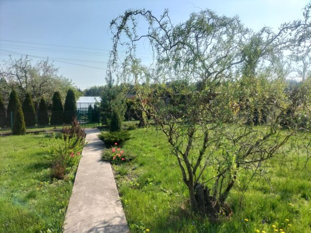 Działka rekreacyjna Szczytno, ul. Solidarności. Zdjęcie 1