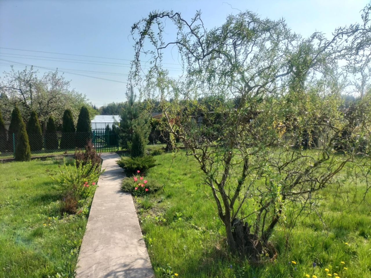 Działka rekreacyjna Szczytno, ul. Solidarności