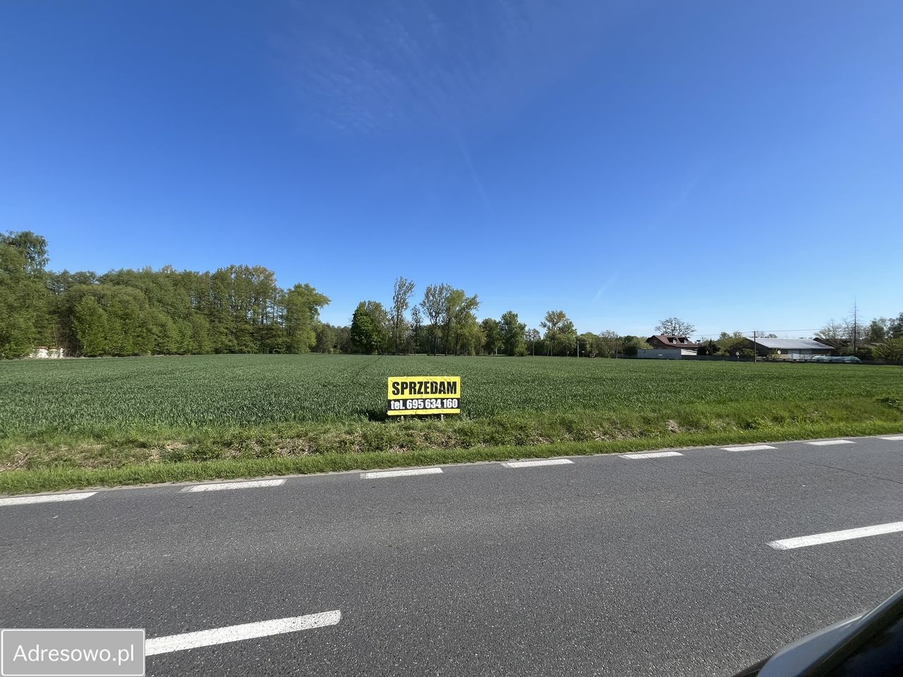 Działka inwestycyjna Trzcianna. Zdjęcie 5