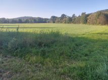 Działka siedliskowa Okocim Kamieniec, ul. Czerwona Droga. Zdjęcie 3