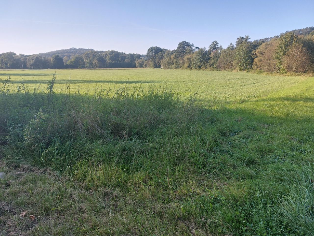 Działka siedliskowa Okocim Kamieniec, ul. Czerwona Droga. Zdjęcie 4