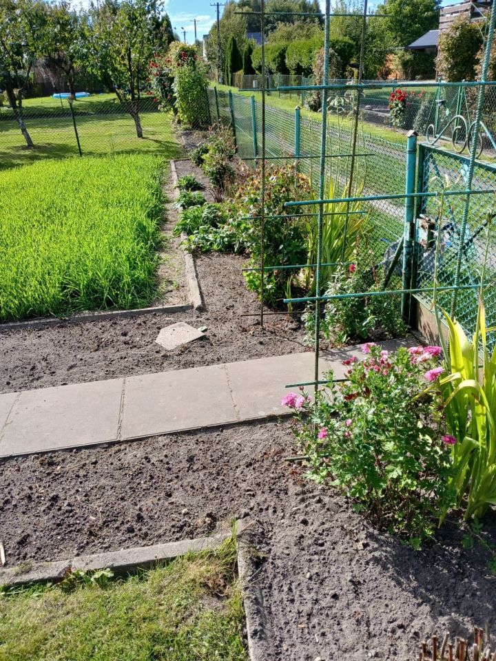 Działka rod Człuchów, ul. Koszalińska. Zdjęcie 7