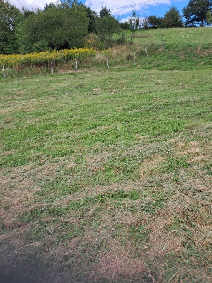 Działka rolno-budowlana Nowa Wieś. Zdjęcie 3