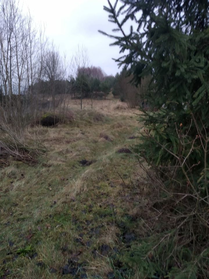 Działka budowlana Pradła. Zdjęcie 2