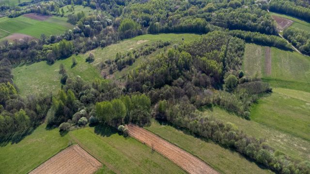 Działka rolna Laskówka. Zdjęcie 29
