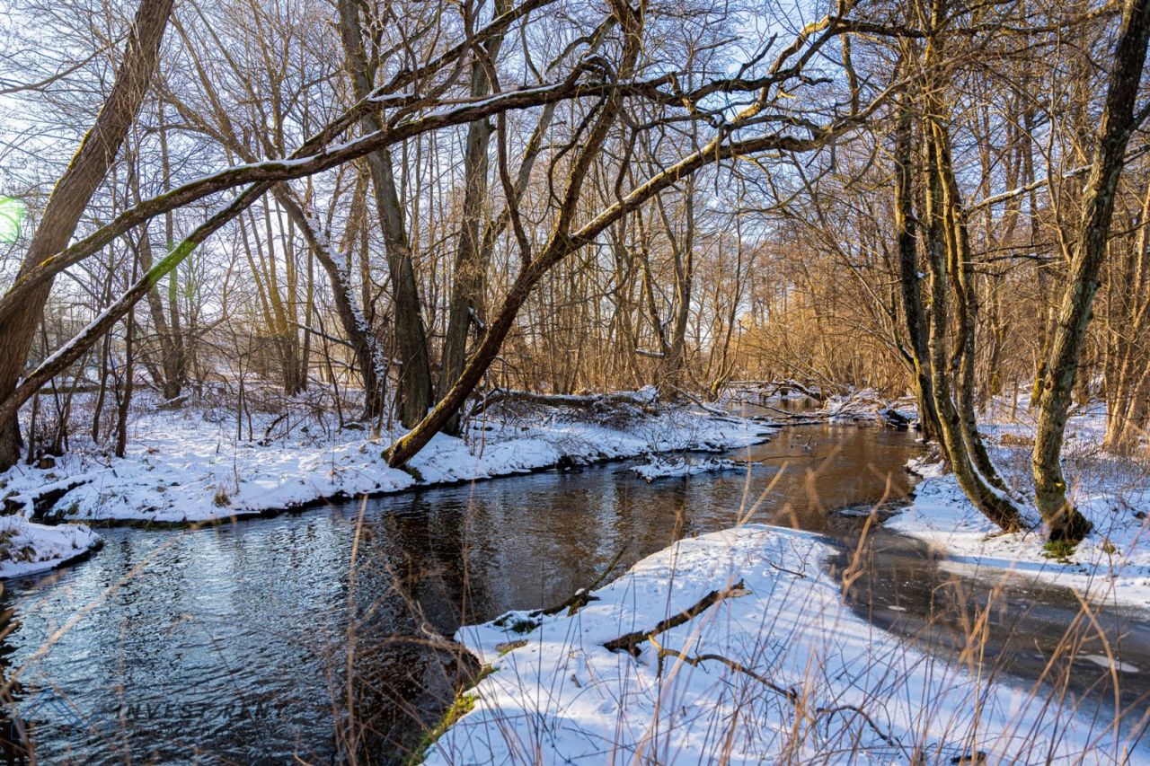Działka rekreacyjna Tychowo. Zdjęcie 12