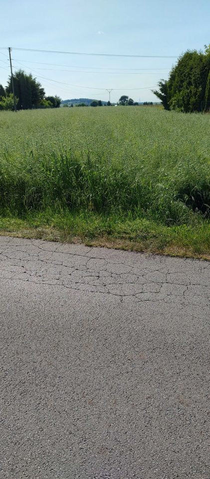 Działka rolno-budowlana Januszowice. Zdjęcie 4