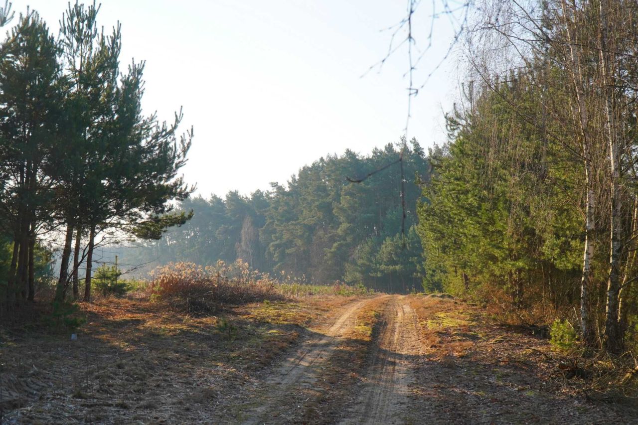 Działka rekreacyjna Gutarzewo. Zdjęcie 6