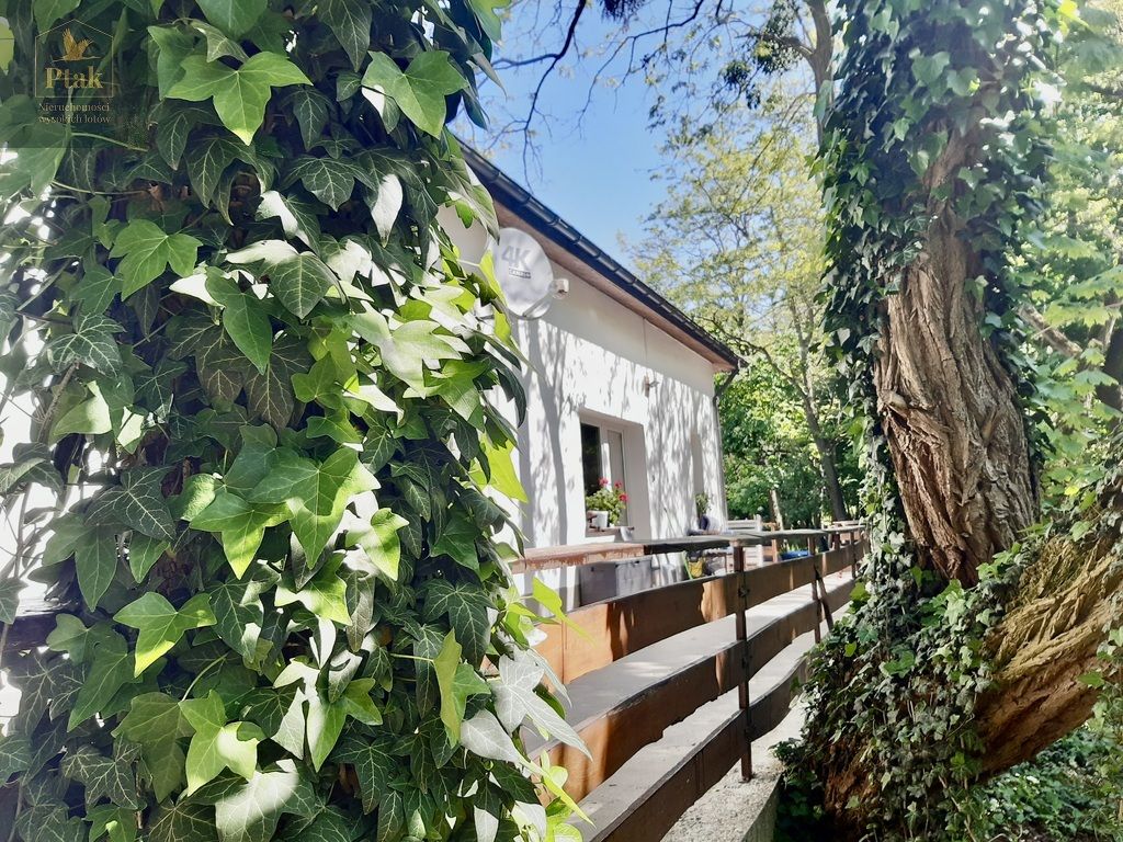 inny, 3 pokoje Luciny. Zdjęcie 15