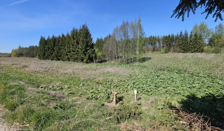 Działka rolna Gąski