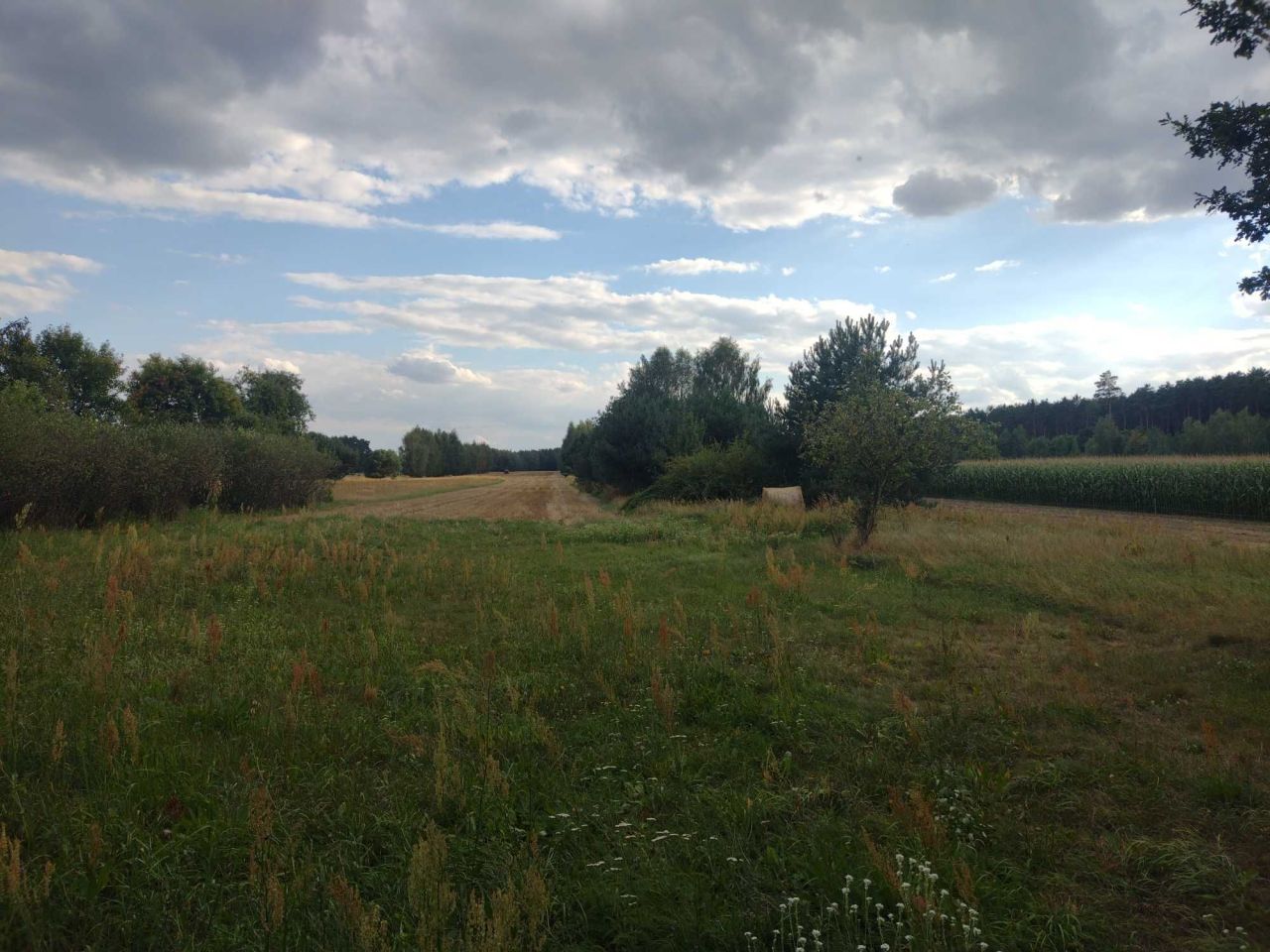 Działka rolno-budowlana Dęborzeczka. Zdjęcie 5