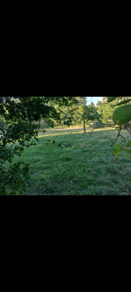 Działka budowlana Ownice. Zdjęcie 4