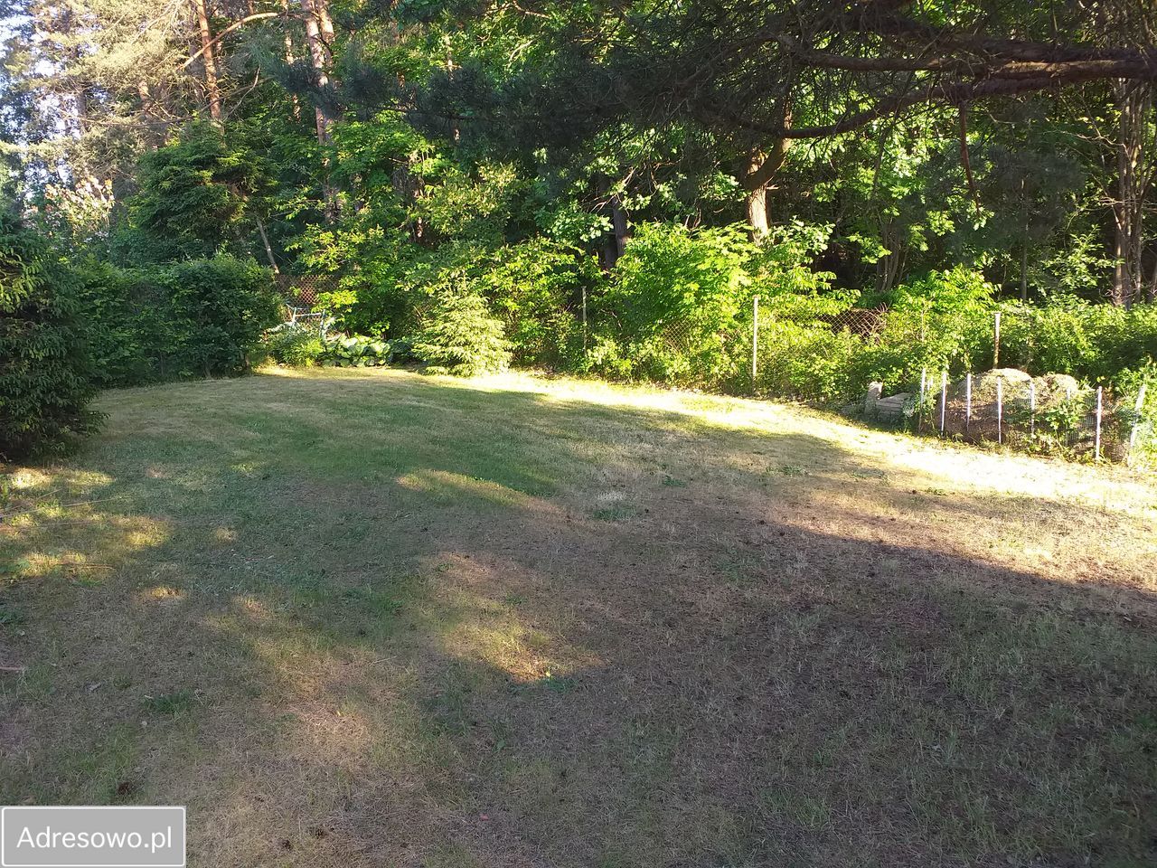 Działka rod Miodówko. Zdjęcie 2