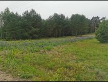 Działka budowlana Młynek, ul. Działki. Zdjęcie 2