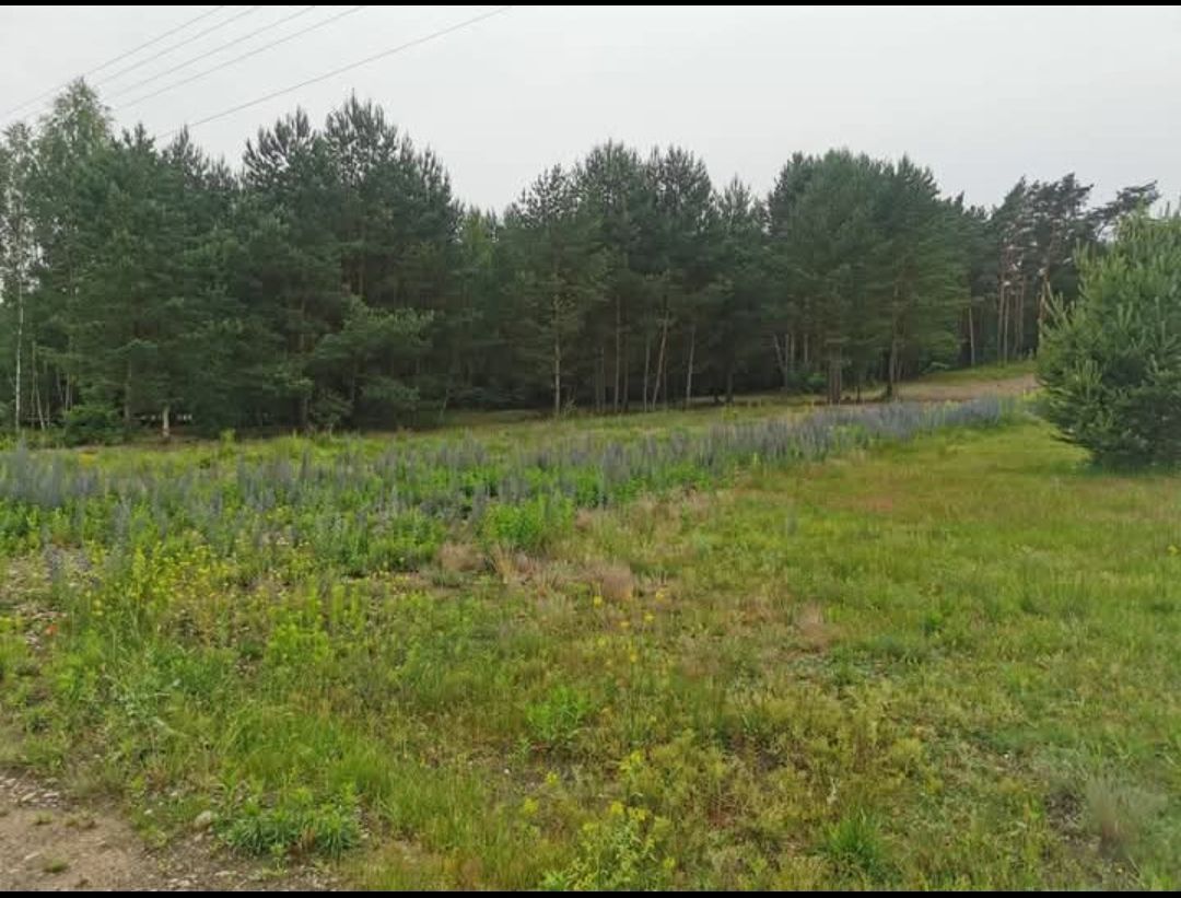 Działka budowlana Młynek, ul. Działki. Zdjęcie 3