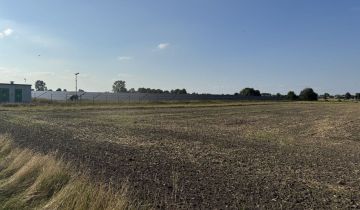 Działka rolno-budowlana Jedlno Drugie