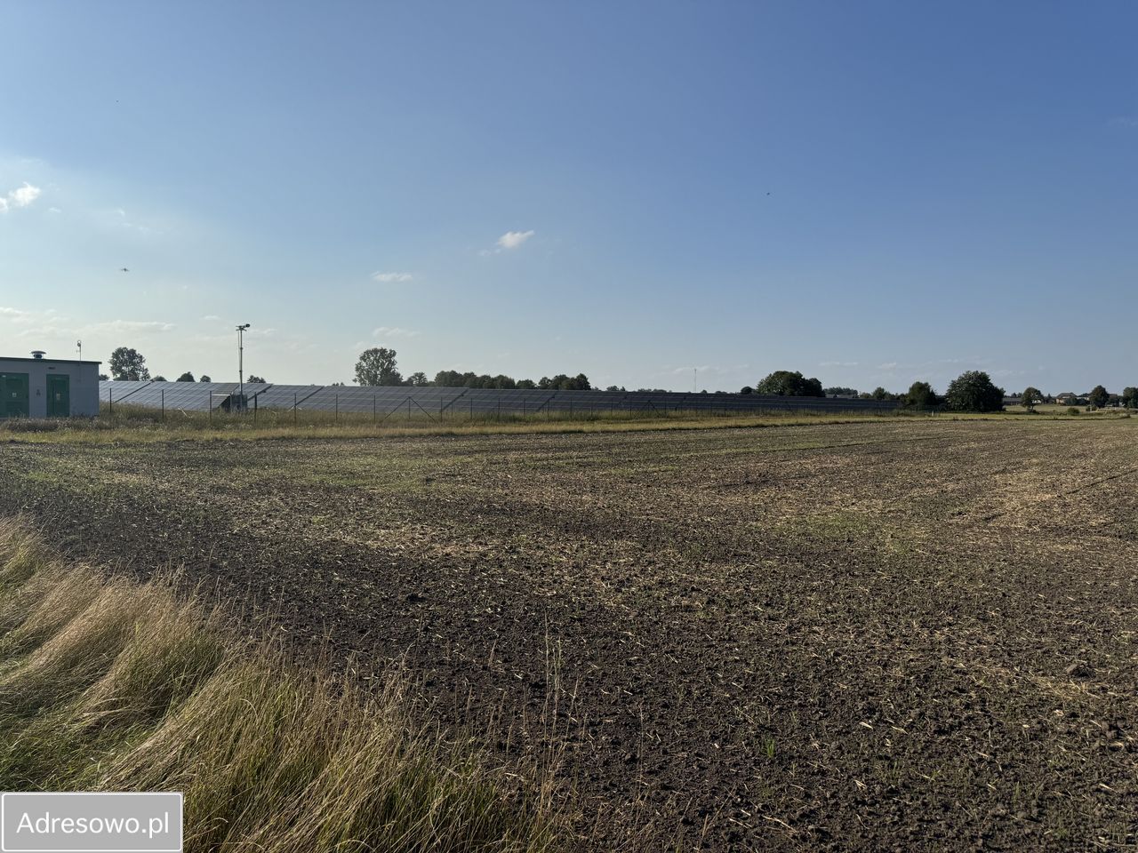 Działka rolno-budowlana Jedlno Drugie. Zdjęcie 2