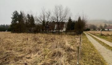 dom wolnostojący Międzylesie, Zielona