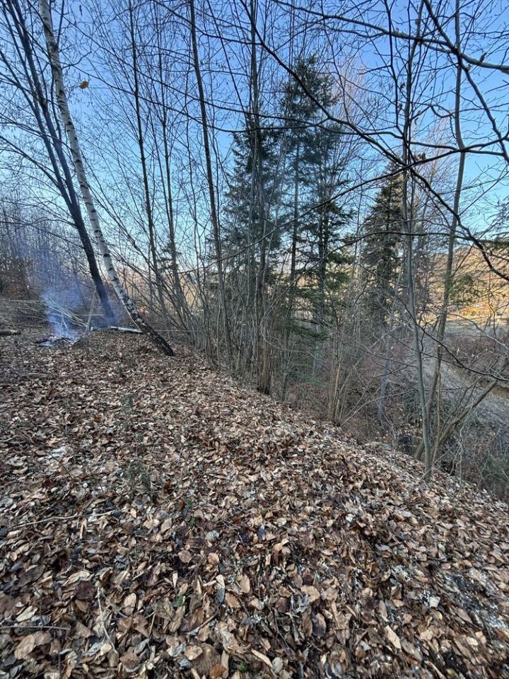 Działka leśna Juszczyna. Zdjęcie 2