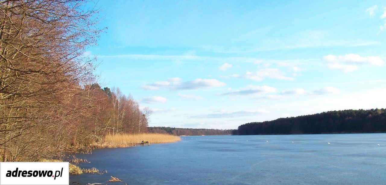 Działka budowlana Owczegłowy. Zdjęcie 12