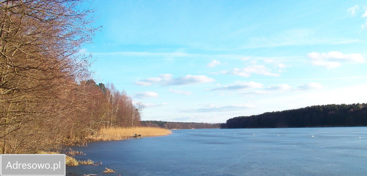 Działka Owczegłowy. Zdjęcie 12