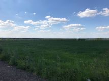 Działka budowlana Przespolew Pański. Zdjęcie 1