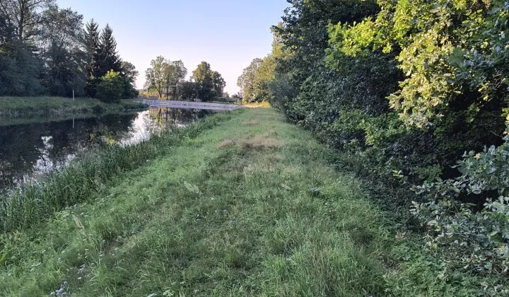 Działka rolna Stara Oleszna