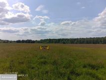 Działka rekreacyjna Popowo-Parcele, ul. Sosnowa. Zdjęcie 1