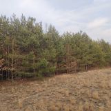 Działka rolna Górki Pierwsze