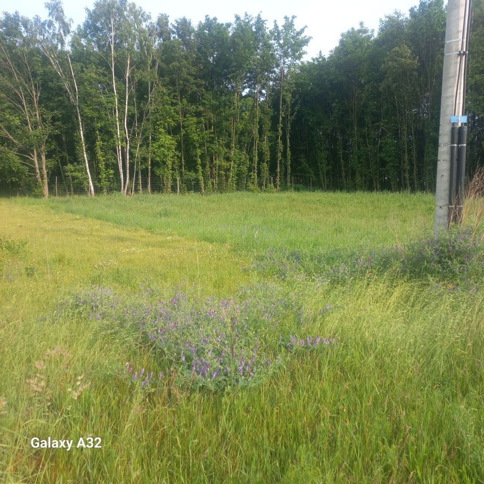 Działka budowlana Magdalenów. Zdjęcie 5