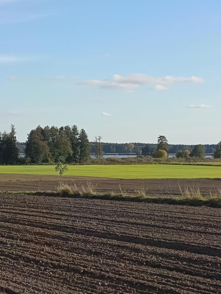 Działka budowlana Niałek Wielki. Zdjęcie 5