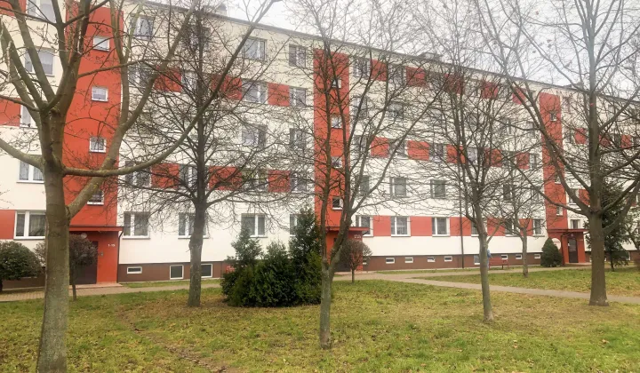 Mieszkanie 3-pokojowe Rypin, ul. dr. Wł. Cholewińskiego