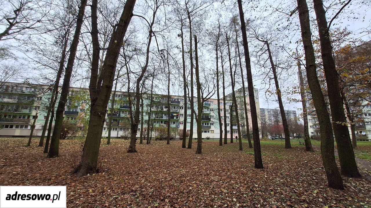 Mieszkanie 2-pokojowe Łódź Bałuty, ul. Rojna. Zdjęcie 5