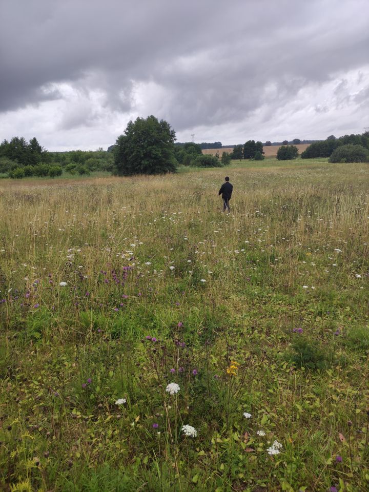 Działka rolna Pałowo. Zdjęcie 2