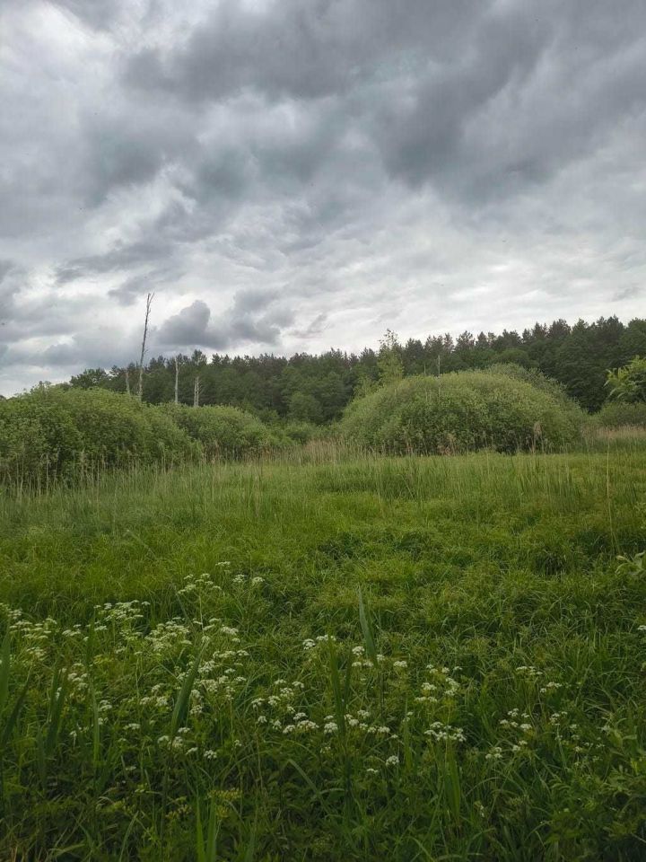 Działka rolna Fiałki. Zdjęcie 3