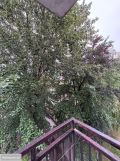 Mieszkanie 1-pokojowe Koszalin Północ, ul. Bałtycka. Zdjęcie 4