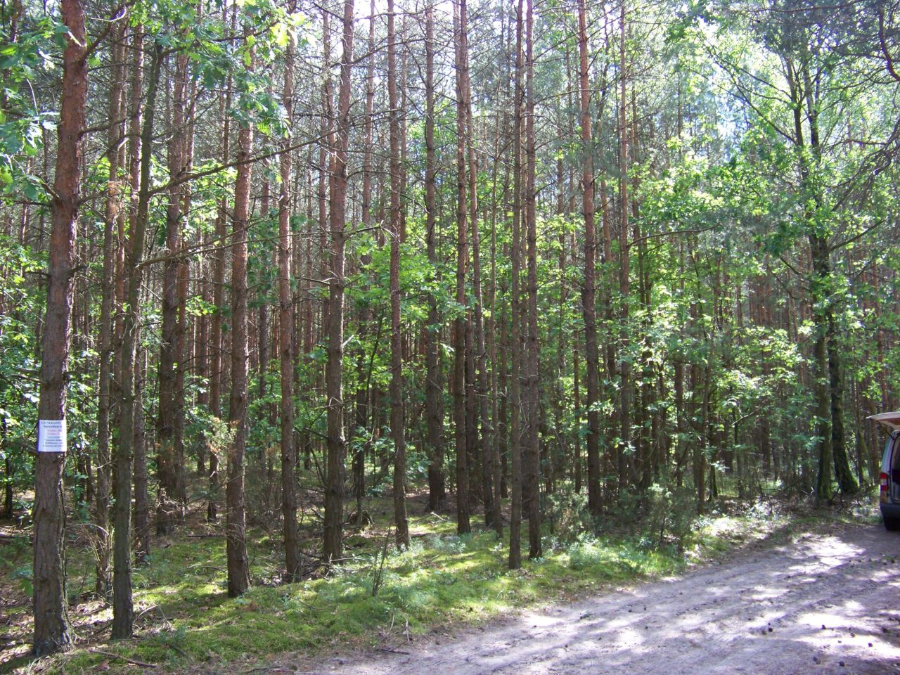 Działka rekreacyjna Kontrewers. Zdjęcie 2