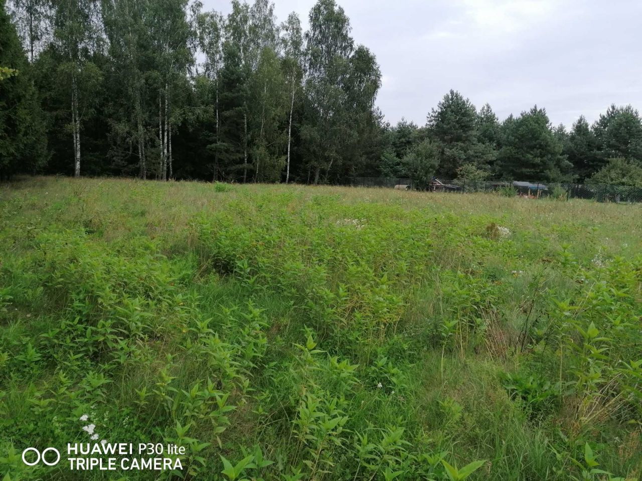 Działka budowlana Snopki. Zdjęcie 5