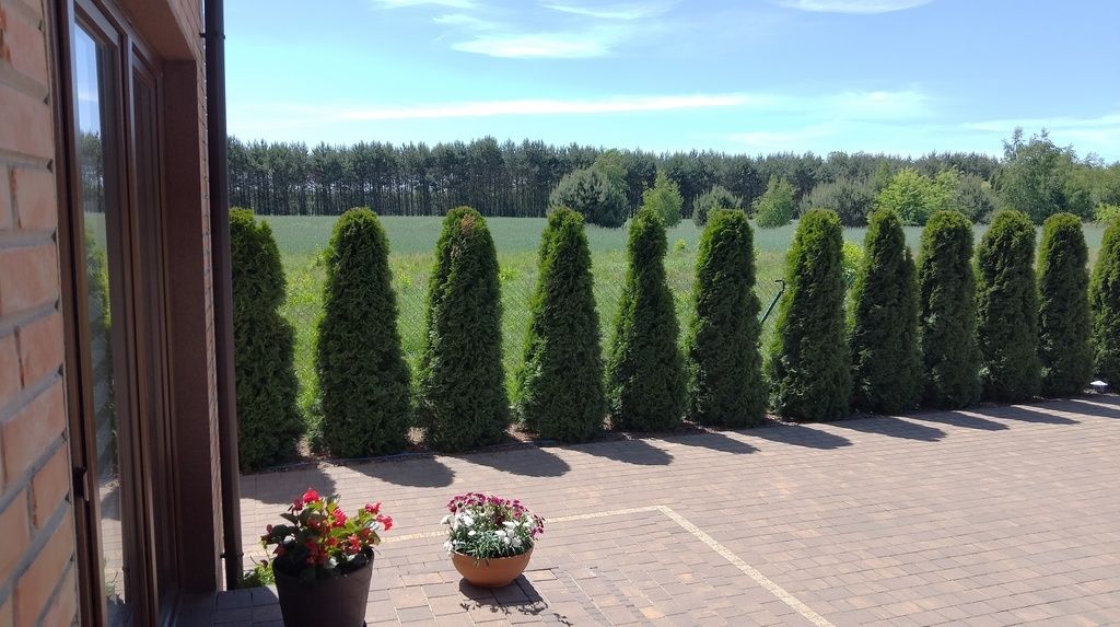 dom wolnostojący, 7 pokoi Bolesławów. Zdjęcie 6