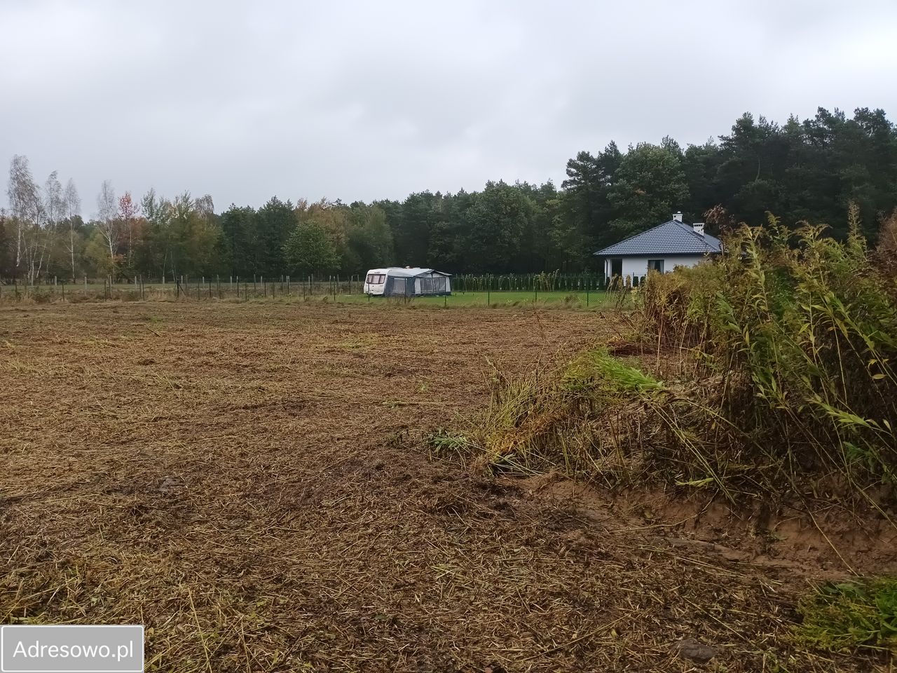 Działka budowlana Borzechów-Kolonia. Zdjęcie 7