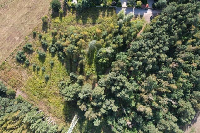 Działka budowlana Władysławów. Zdjęcie 4