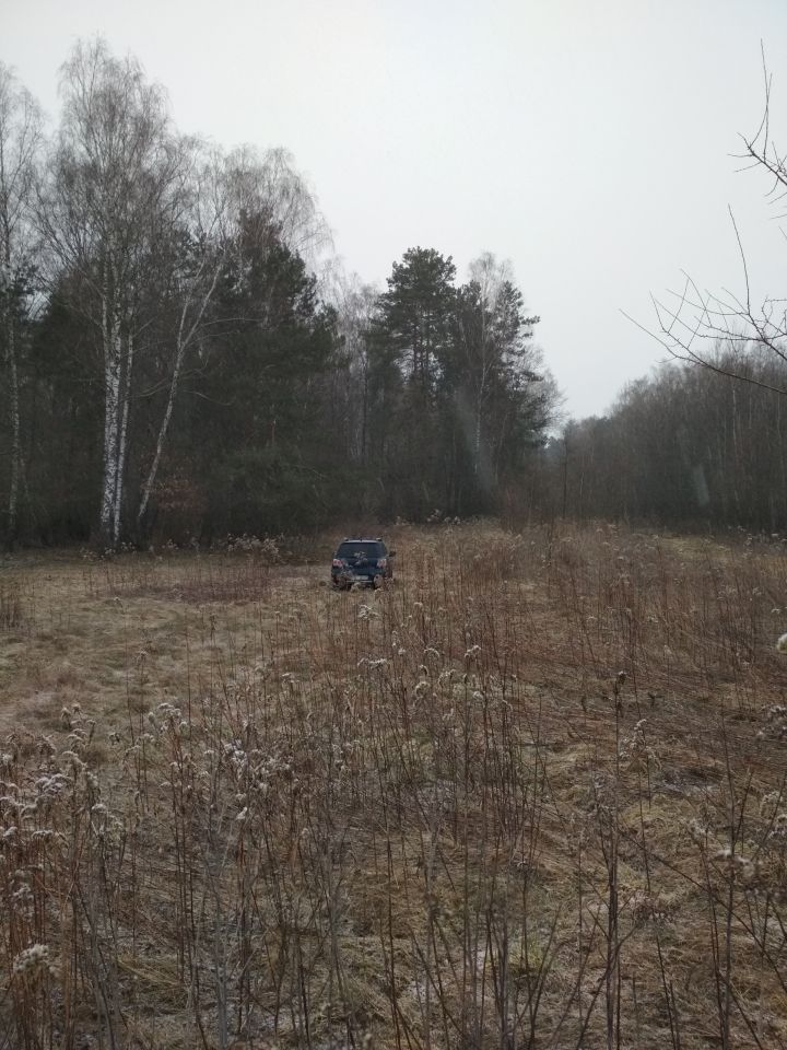 Działka leśna Wojszyn. Zdjęcie 15