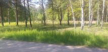 Działka budowlana Wojciechówka