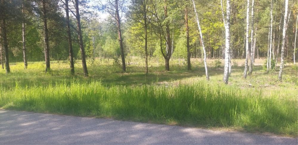 Działka budowlana Wojciechówka